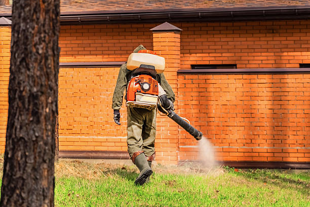 Trusted Bed Bug Control service in Aumsville, OR - Nex Pest Control